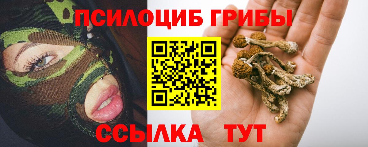 Псилоцибиновые грибы прущие грибы Ковров
